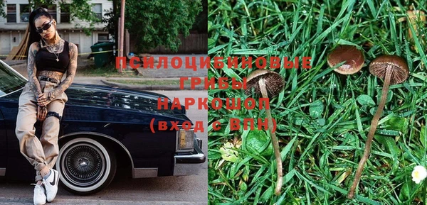 прущая мука Лиски